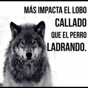 Meet your Posher, Lobo